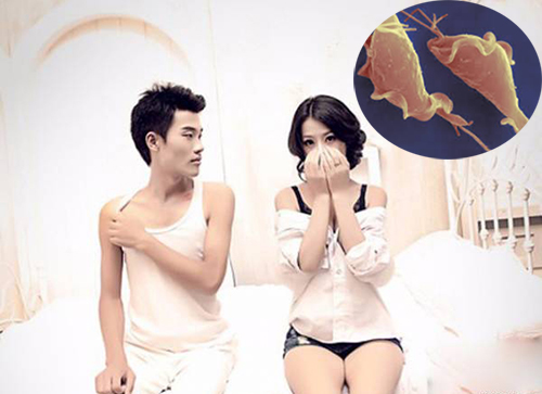 Loài ký sinh trùng truyền bệnh tình dục cho hàng trăm triệu người