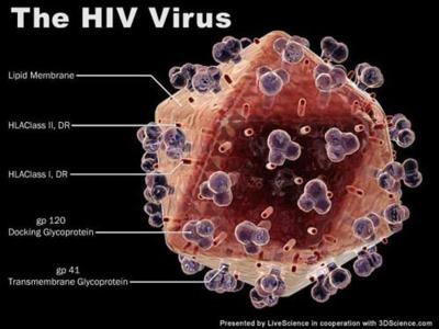 Hiểu thêm về trạng thái HIV trung tính và trung lập
